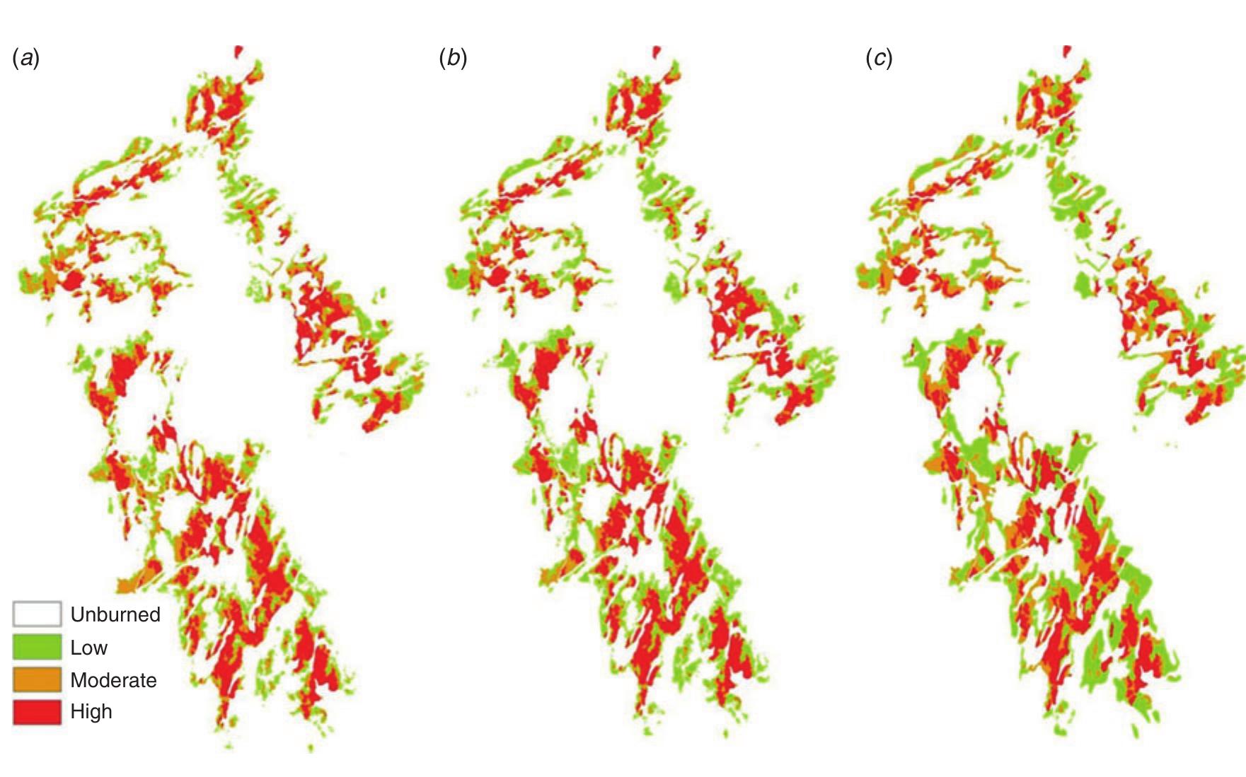 (PDF) Assessing the potential of the differenced Normalized Burn Ratio ...