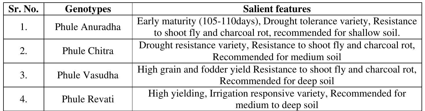Salient features of sorghum genotypes
