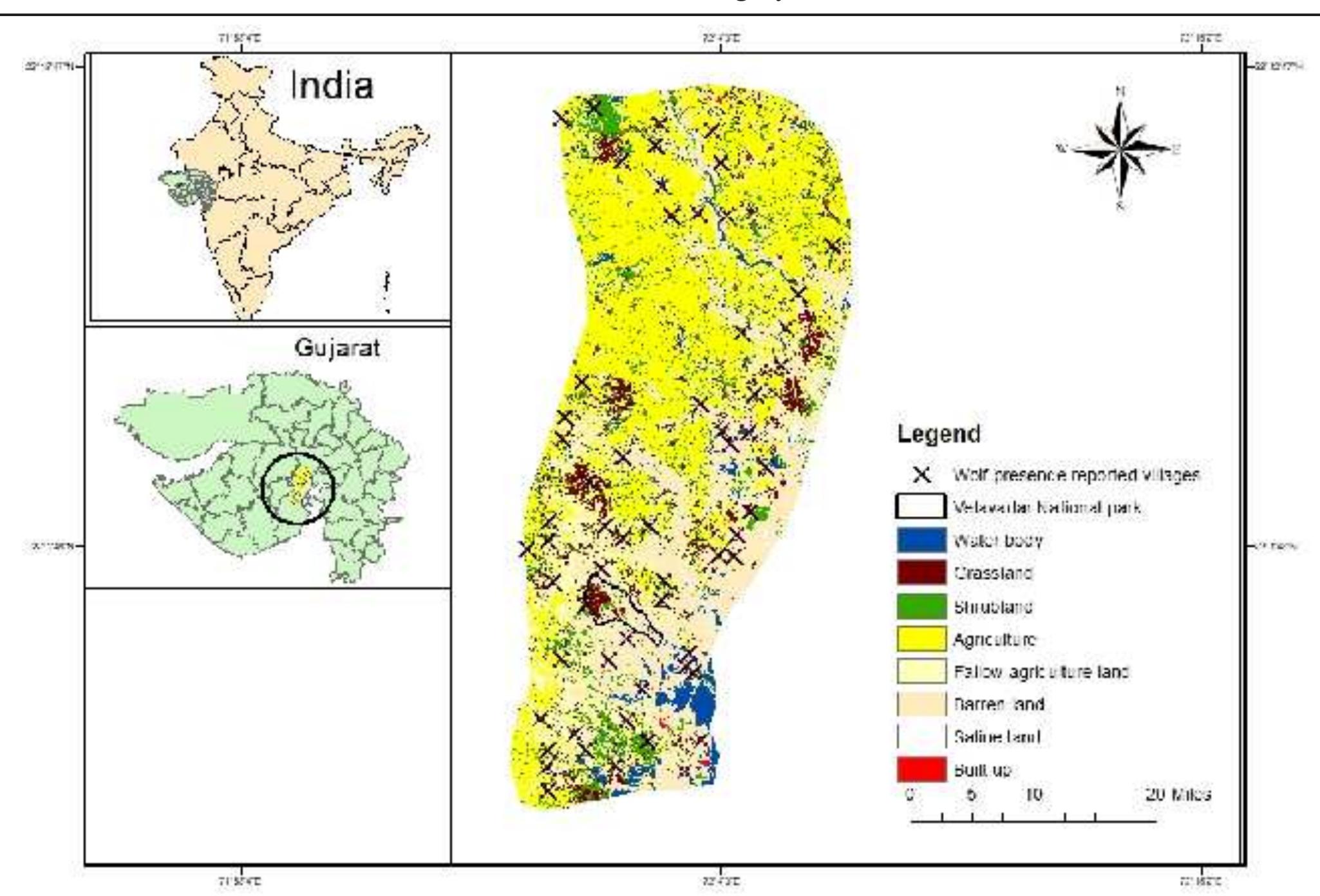 (PDF) Preliminary Status and Distribution of Indian Grey Wolf (Canis ...