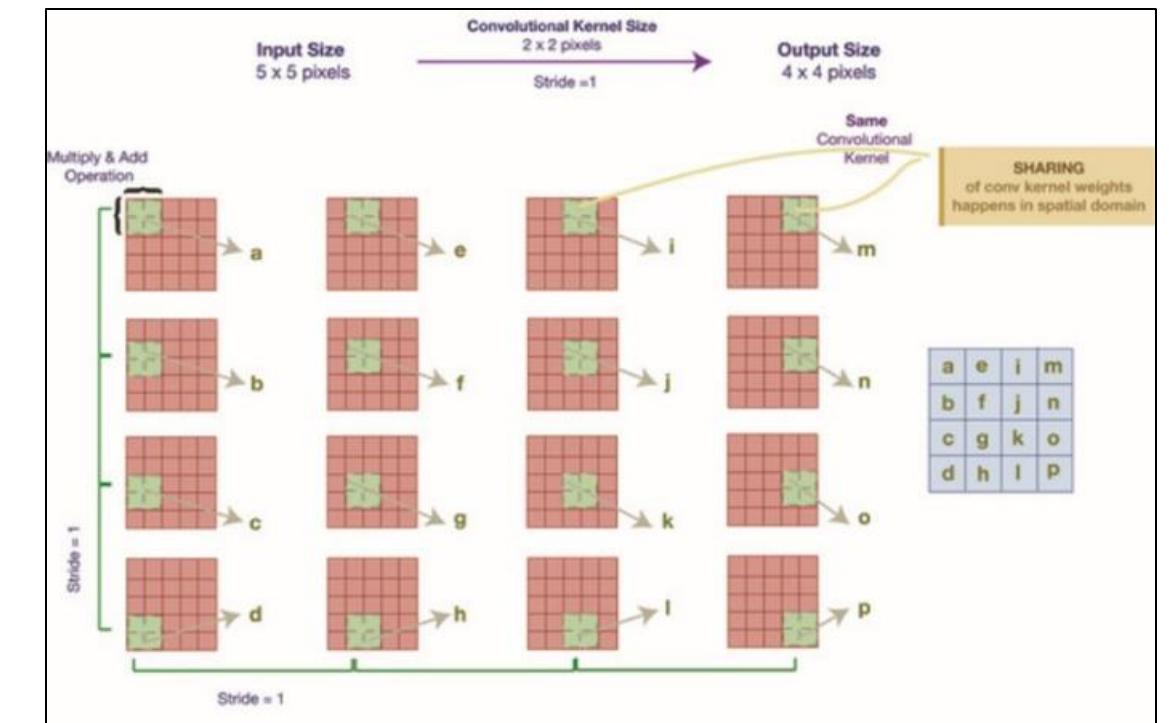 (PDF) Convolutional Neural Network (CNN). A Comprehensive Overview
