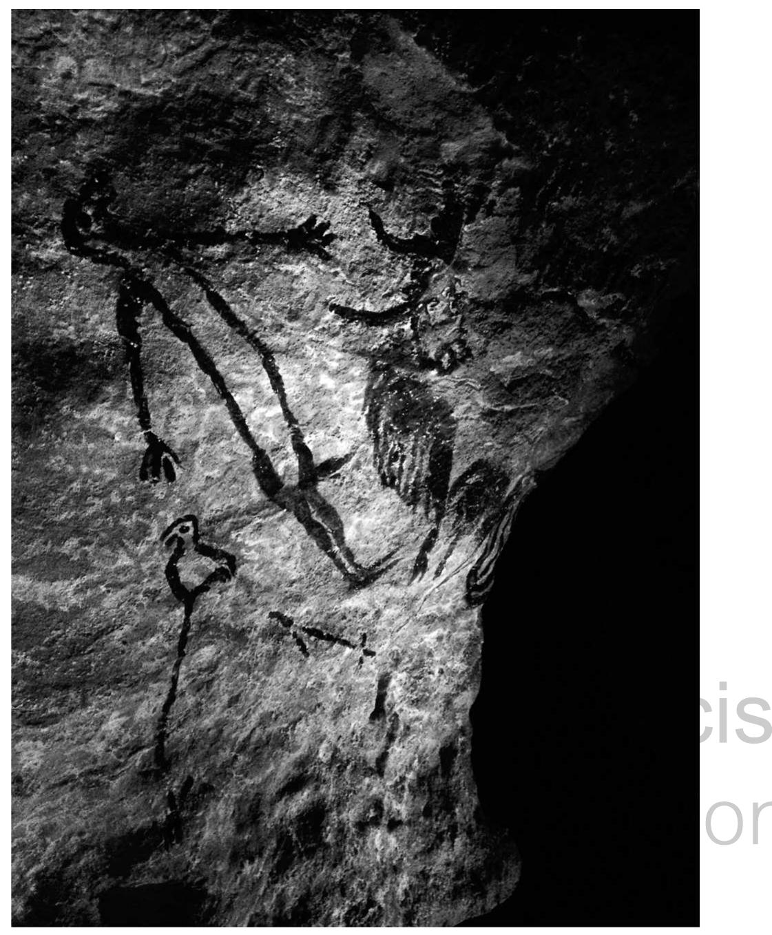 Figure 15.2 ‘The curve of the rock surface emphasizes the bulk of the bison’s form, as well as its powerful musculature (photo taken by author at the Lascuax III exhibition, reproduced with the permission of Olivier Redout). 