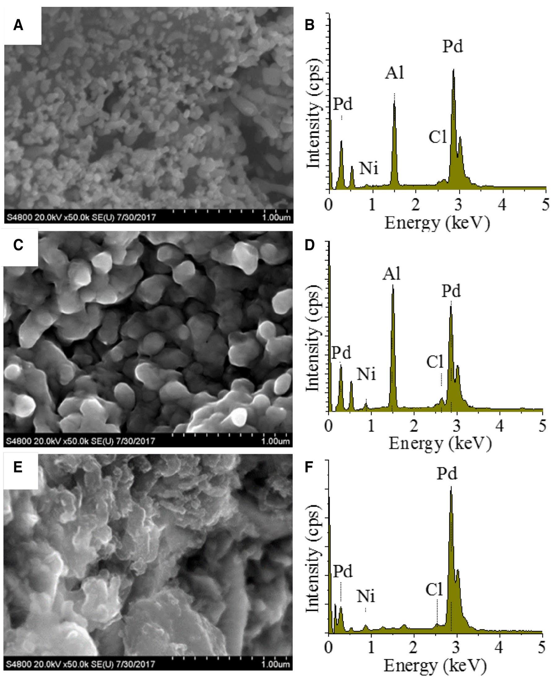 Bcvnt Sem picture and eds of the 2% pd/bcnt-1 (a, b), 2% pd/bcnt-2