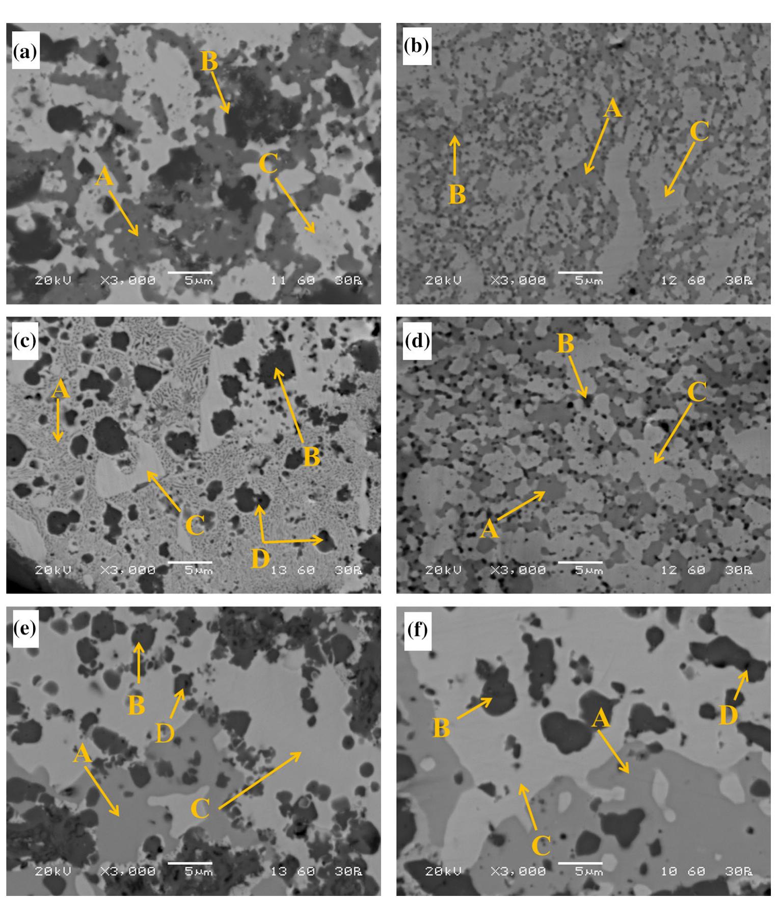 Fig. 3. BSE image of (a) 0Fe, (b) 2Fe, (c) 4Fe, (d) 6Fe, (e) 8Fe, and (f) 10Fe different composition of heat-treated sample: 
