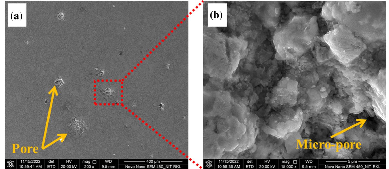 Fig. 7 (a) FESEM image of the pore surface of the 4Fe samples and (b) corresponding magnified image 
