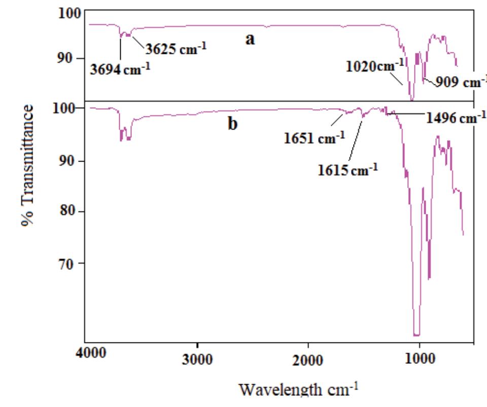 Ftir spectra of hnt and phnt.