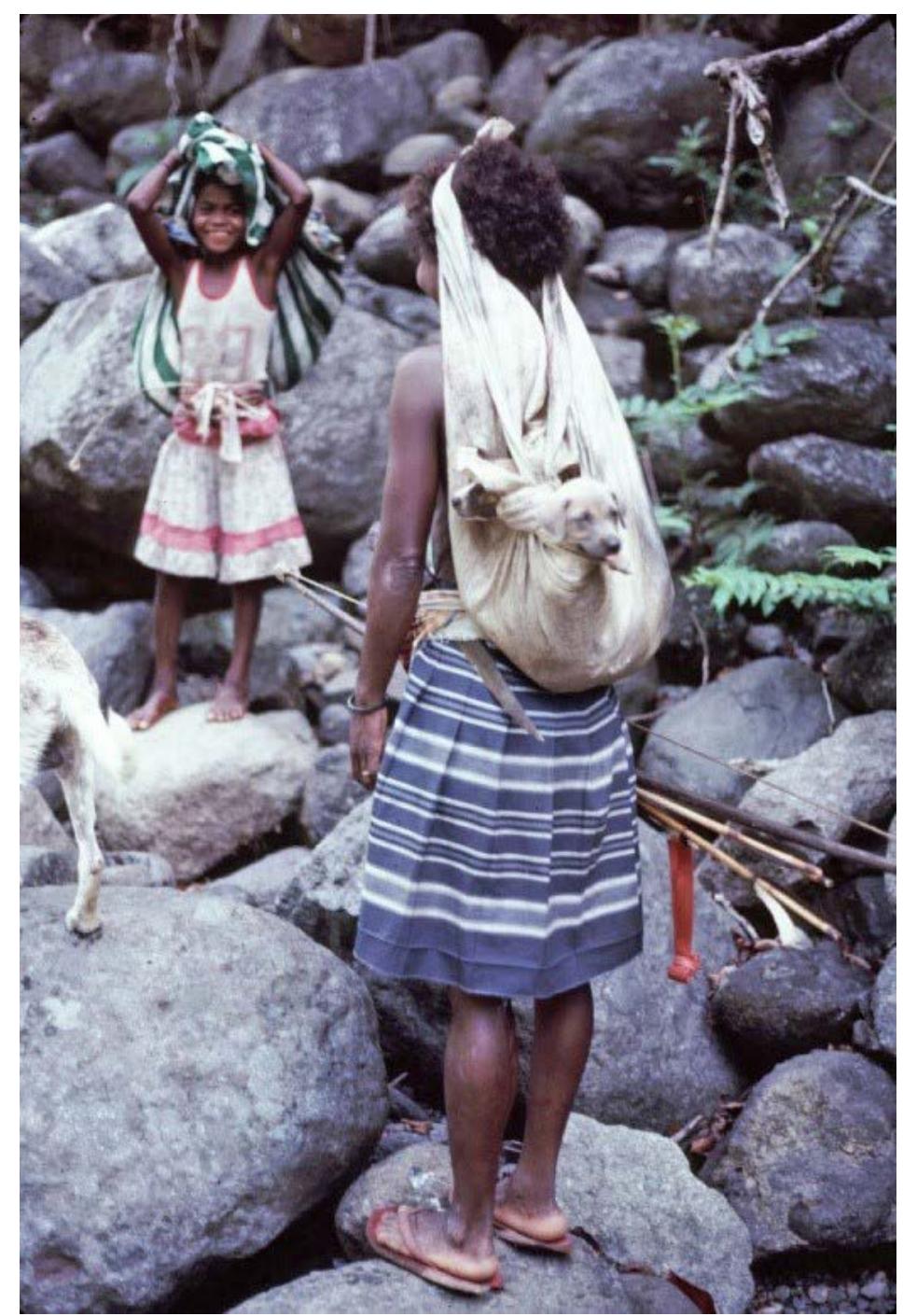 (PDF) Dog in Philippine Life, Ritual and Creation Myths: In a Spirit of ...