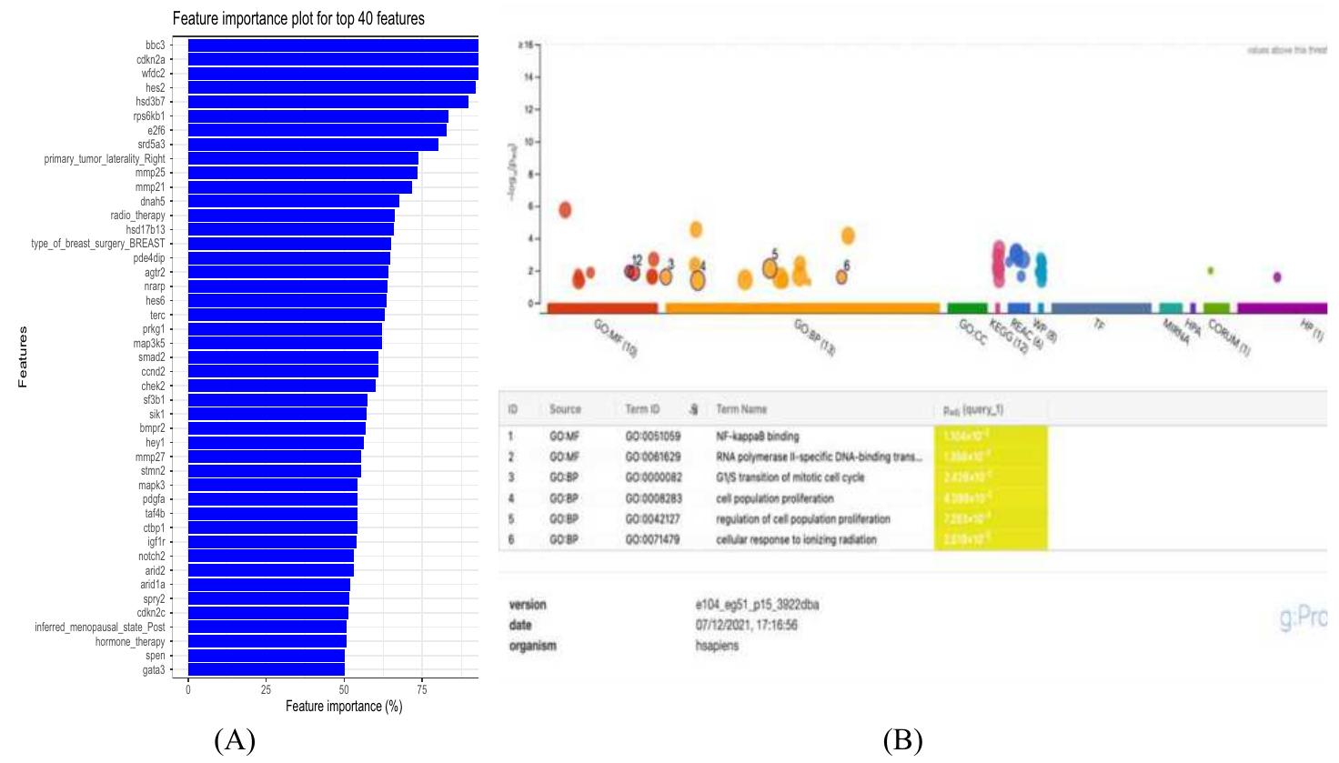 (PDF) Predicting Overall Survival in METABRIC Cohort Using Machine Learning
