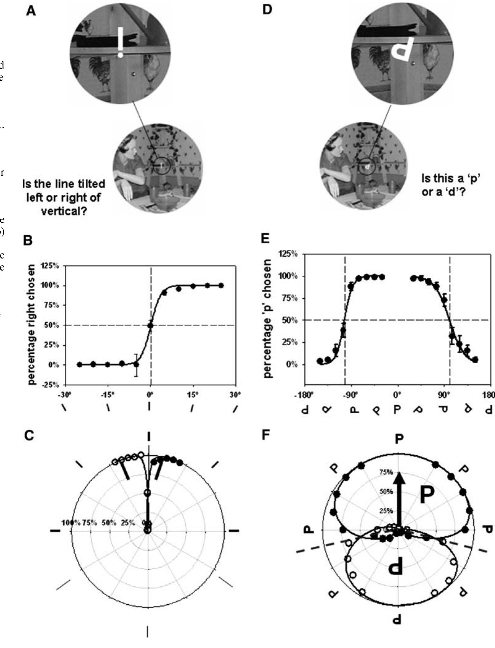 Probe Visual Point (PDF) The subjective visual vertical and the perceptual upright