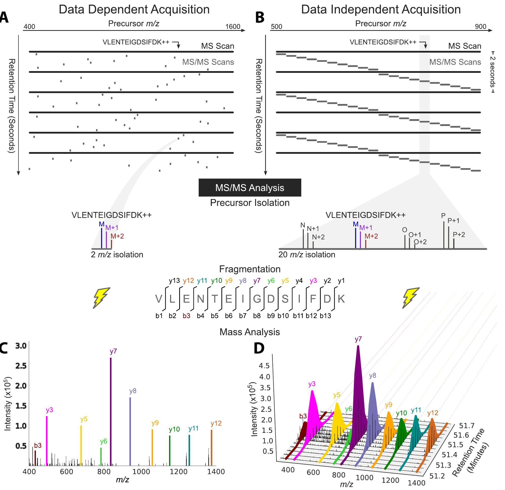 Tandem mass spectrometry (ms/ms) analysis in data-dependent