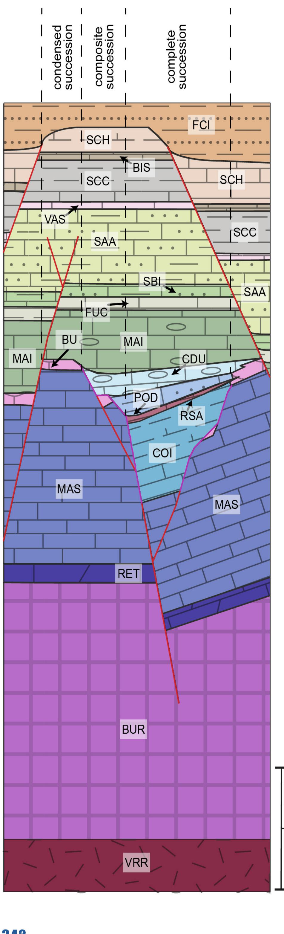 Figure 2 - Geological map, balanced and restored