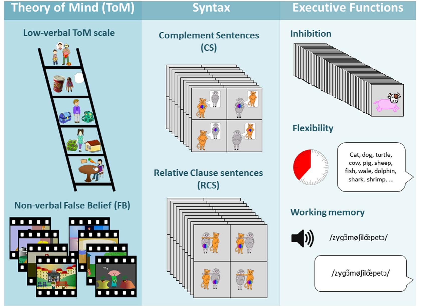 (PDF) Theory‐of‐mind during childhood: Investigating syntactic and ...