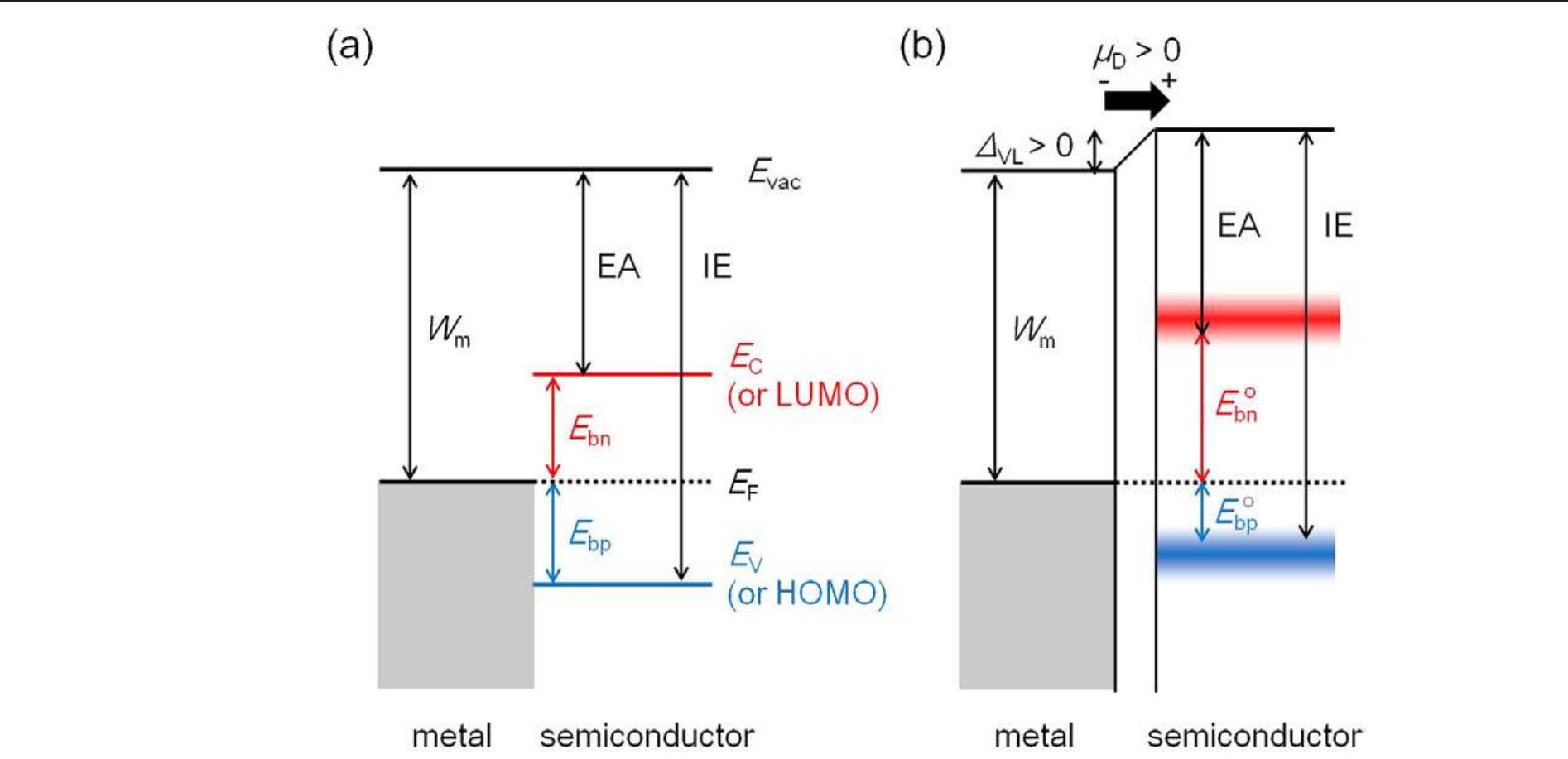 (PDF) Injection barrier at metal/organic semiconductor junctions with a ...