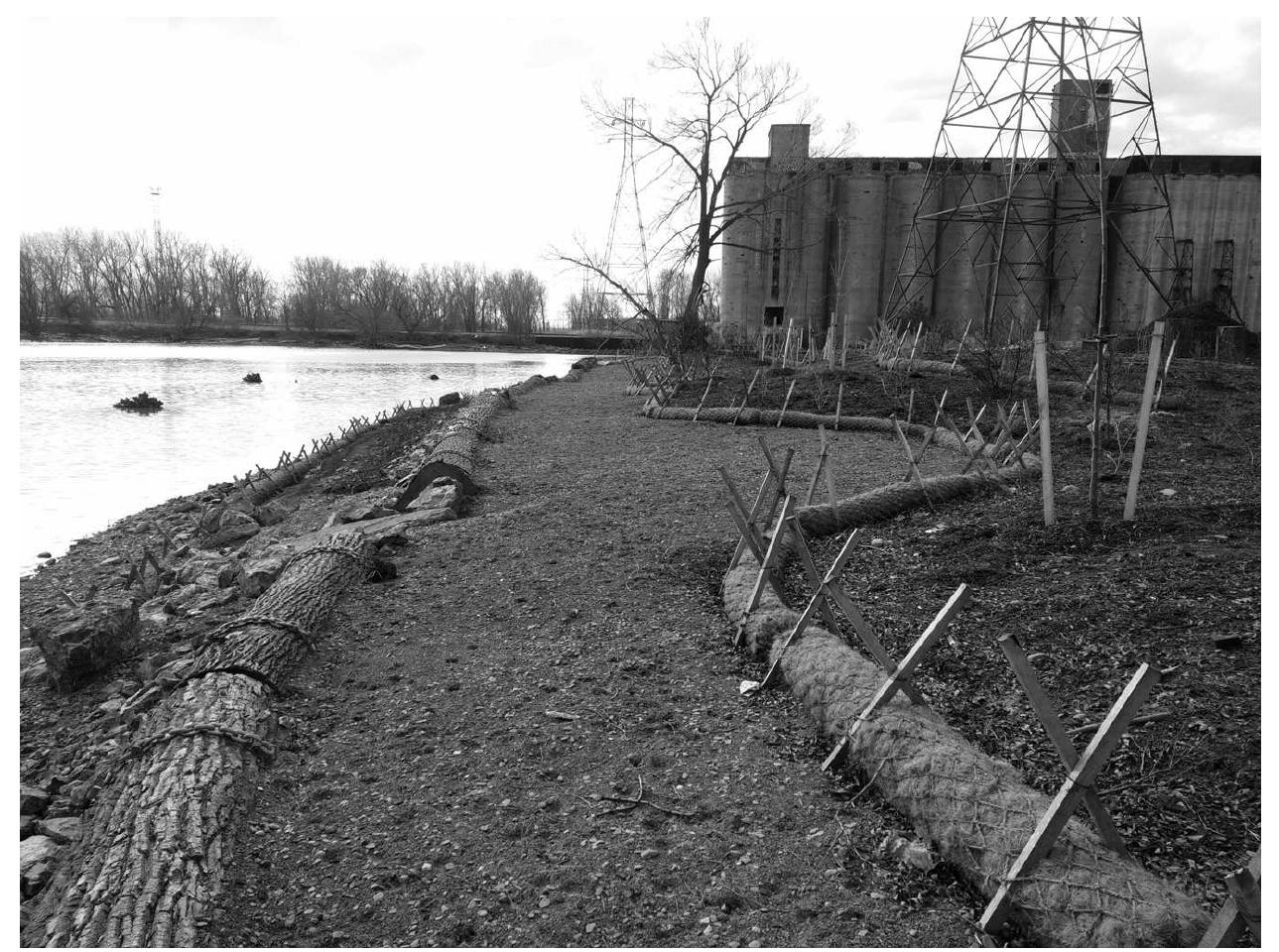 (PDF) Restoring Fish and Wildlife Habitat in U.S. Great Lakes Areas of ...
