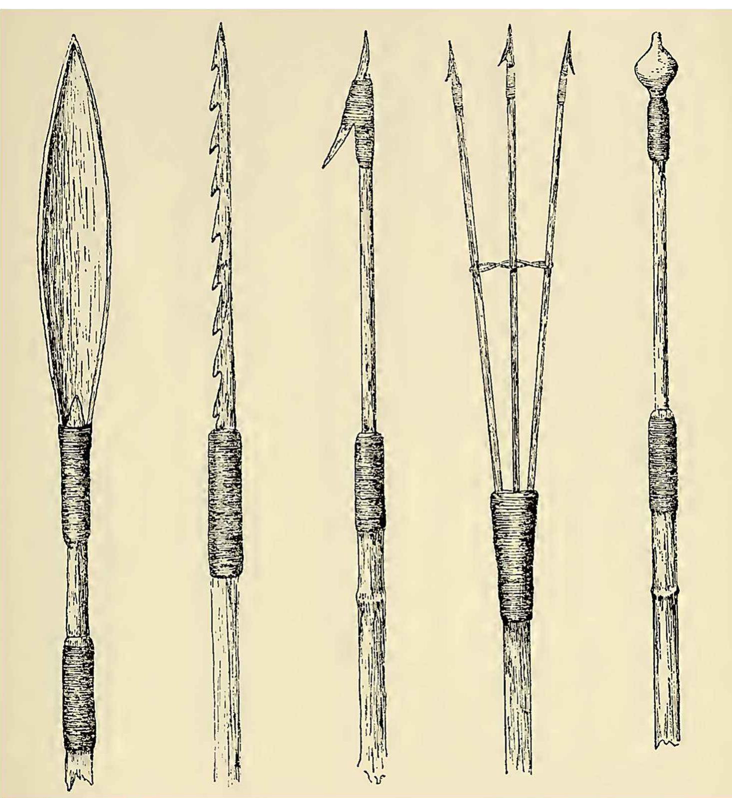 Harpoon Types (PDF) The bow and arrow in South America