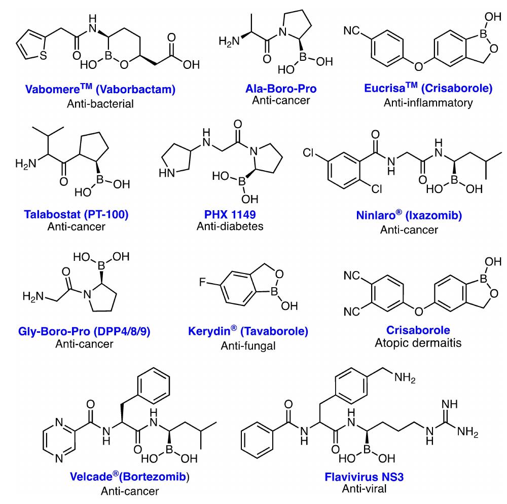Figure 1. Structures of organoboron based pharmaceuticals.  ment. Despite this extensive progress, a comprehensive review of electrochemical borylation is scarce.5” Therefore, we present a detailed overview of R—X, Ar-X, C-N, C-C, and GO borylation reactions in this review, which covers the literature up to Feb 2023, with a focus on recent breakthroughs and trends. In both catalytic and noncatalytic approaches, several well-developed boron reagents and new reaction patterns have emerged. The structures of the most common boron reagents utilized in these processes, as well as their acronyms are listed in Figure 2. The breadth and boundaries of these tactics, as well as the reaction mechanisms, are highlighted and analyzed in detail, with significant examples of products of each method 
