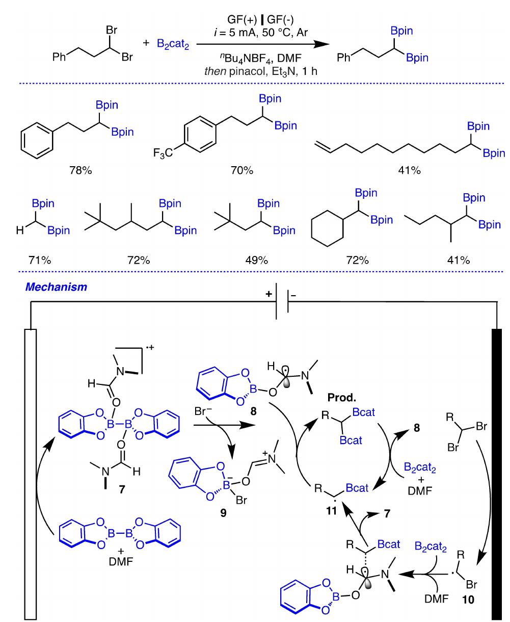 Scheme 4. Electrochemical activation of B—B in B,cat, to access to gem- diborylalkanes and its proposed mechanism.  To the best of our knowledge, electrochemical borylation of aryl halides was first introduced by Luc Vellutini et al. who 