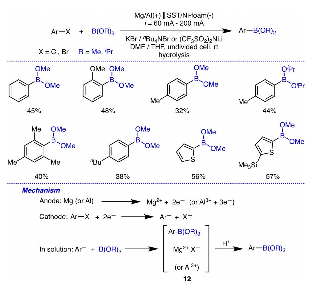 Scheme 5. Electrosynthesis of arylboronic acids with B(OMe); or B(O'Pr); at room temperature and its proposed mechanism.  The previous electrochemical borylation has been im- proved with the use of pinacolborane as the borating reagent 