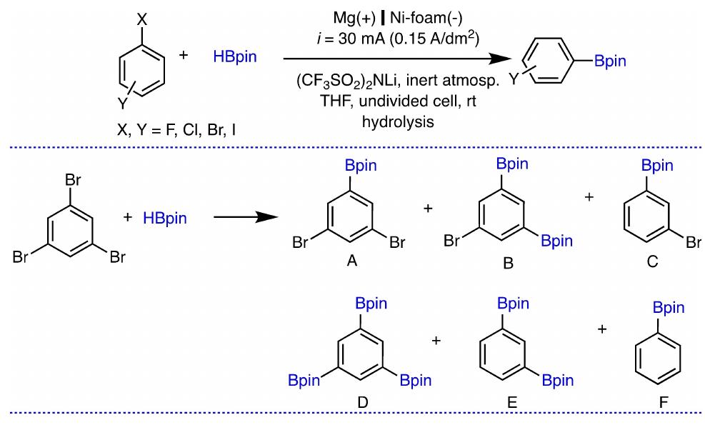 Scheme 7. Electrochemical reduction of polyhalogenated aryl derivatives ir the presence of pinacolborane. 