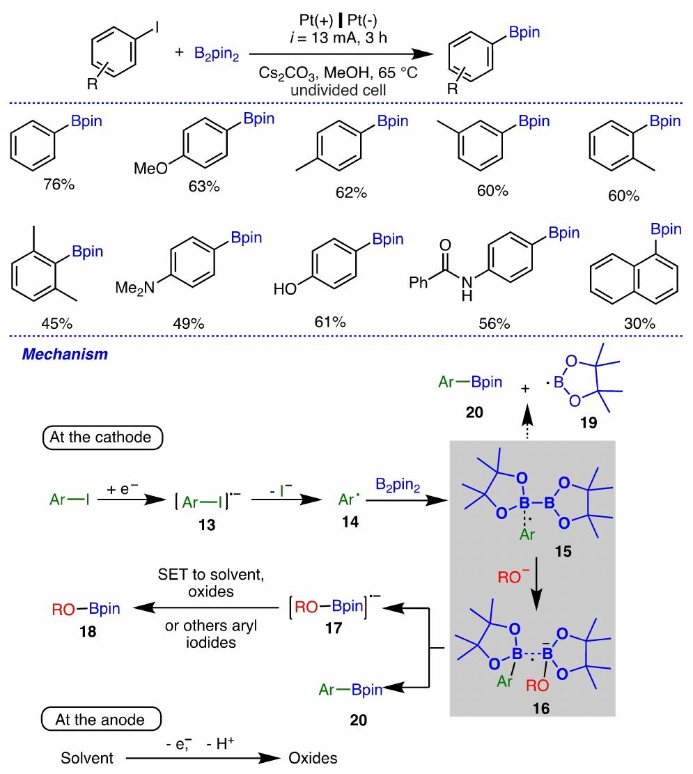 Scheme 9. Electrochemical radical borylation of aryl iodides and its proposed mechanism.  An electrochemical metnod for the borylation of aryl iodides under aerobic conditions was developed by Fanyang Mo et al. (Scheme 9).'* Mechanistic experiment suggested that a radical pathway where current was the driving force. They explored the substrate scope of aryl iodide with a wide range of aryl iodide derivatives bearing both electron-withdrawing groups with moderate yields and electron-donating groups that could be borylated in good yields of the corresponding products. A detailed reaction mechanism was investigated, and the catho- dic reduction of aryl iodides resulted in the formation of the corresponding carbon radical 14 via C-I bond cleavage, followed by the formation of the radical intermediate 13 (radical anion). Then, the interaction between the aryl radical 14 