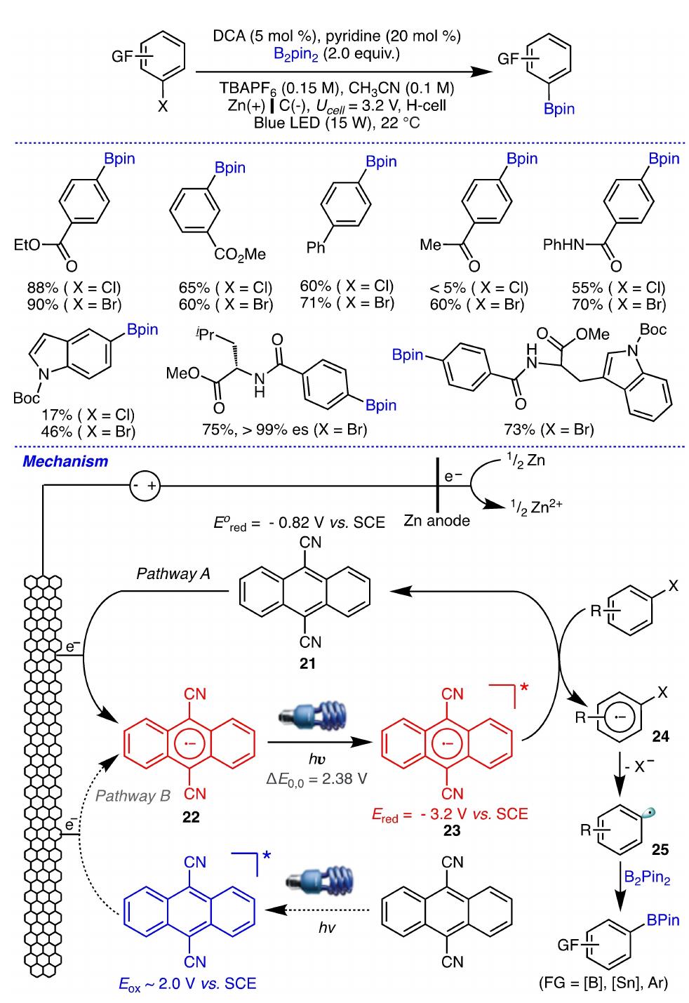 Scheme 10. Electro-photocatalytic borylation of aryl halides and its pro- posed mechanism.  Song Lin etal. developed a novel electro-photocatalytic method that uses simultaneous electrochemical activation of organo-catalyst and photoexcitation to access radical anion species with very high reducing power. (Scheme 10).'° This method demonstrated that it can borylate a wide range of ary! halides containing well tolerated functional groups that may be sensitive to strongly reducing conditions, such as ester, ketone, amide, carbamate, thiophene, and N-Boc indole. More impor- tantly, by using different radical trapping agents, the synthetic scope of this electro-photocatalytic protocol was extended to the formation of C-Sn and C-C bonds. As described in the mechanism, when dicyanoanthracene (DCA) 21 is used as an organocatalyst, the cathodic reduction of DCA 21 (E,,.=- 0.82 V) yields the radical anion DCA* 22, which has a wide absorption with maxima at 375, 395, and 420 nm and a lifespan of 13.5 ns (excitation energy, F)=2.38 eV). The excited DCA” 23 has a 
