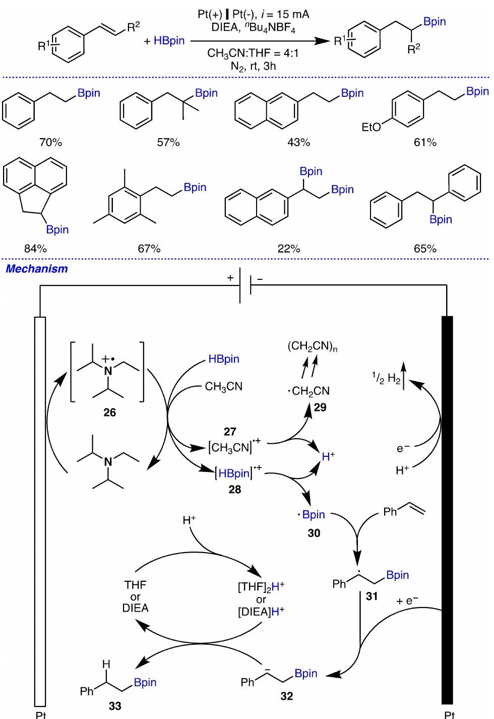 Scheme 11. Electrochemical selective hydroboration of aryl alkenes and it: proposed mechanism.  A CH;CN-promoted electrochemical borylation process of alkenes and HBpin as the substrates was reported here without the need of any metal catalysts (Scheme 11).!! By controlling the proportion of HBpin, site-selectivity was achieved to promote mono- or di-functional borylation of an unsaturated bond. Furthermore, gram-scale synthesis was demonstrated successfully which indicated the potential application this method in commercial synthesis. While the steric hindrance and multi-substituted modes of the aryl ring had a significant impact on the hydroboration transformation of the terminal 
