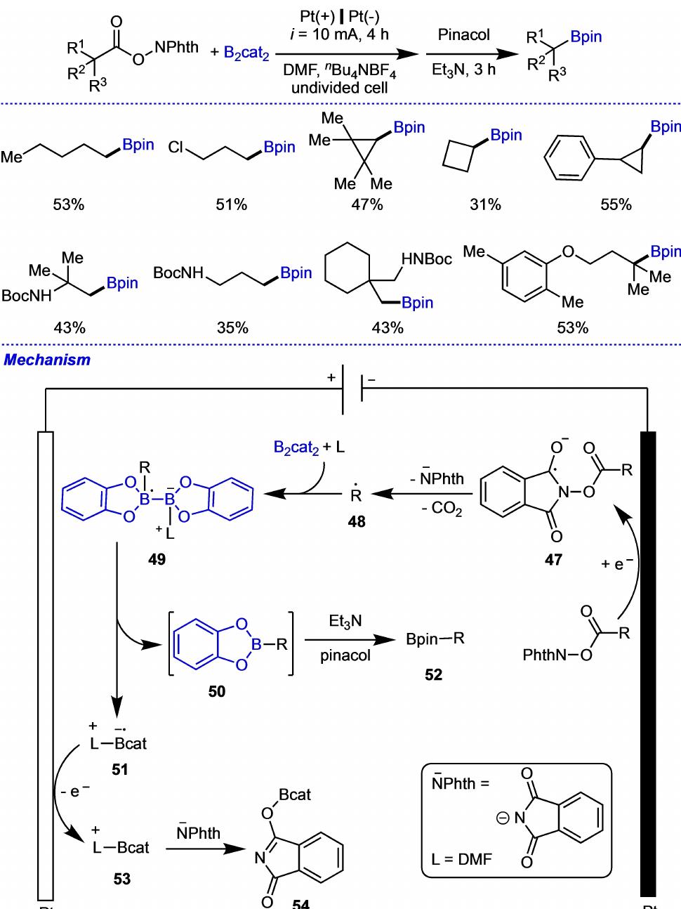 Scheme 14. Electrochemical decarboxylative borylation reaction its pro- posed mechanism. 