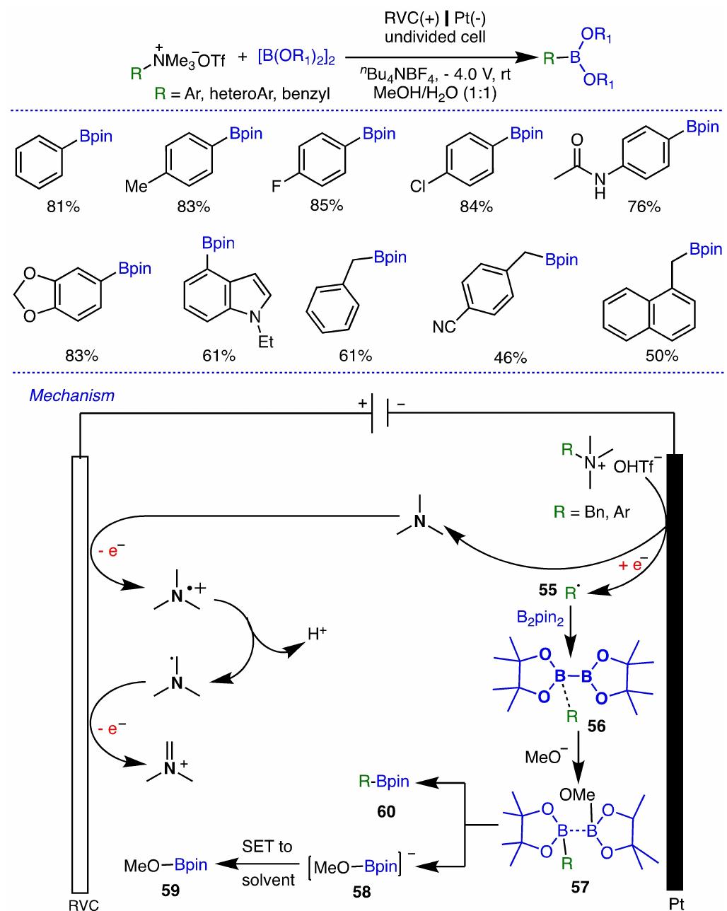 Scheme 15. Electrochemical synthesis of organoboronates by the reduction of aryl and benzyl ammonium salts and its proposed mechanism. 