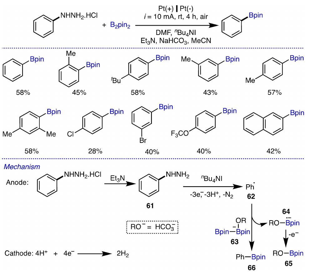 Scheme 17. Electrochemical C-N borylation of arylhydrazines and its proposed mechanism. 