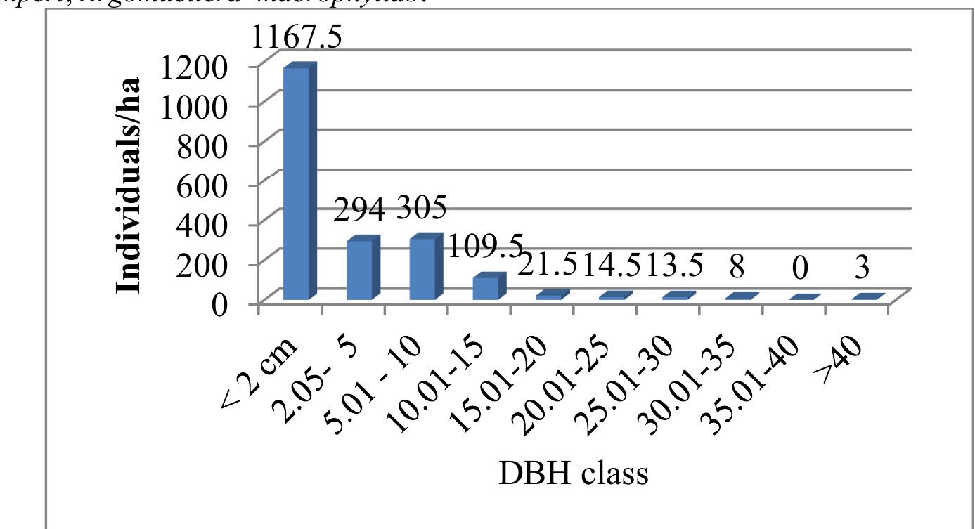 Dbh Pattern (PDF) Floristic Composition, Structural Analysis and Regeneration ...