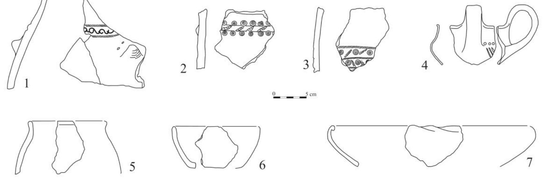 Fig. 9. Babadag type pottery from the site Sarichioi—La Bursuci. 