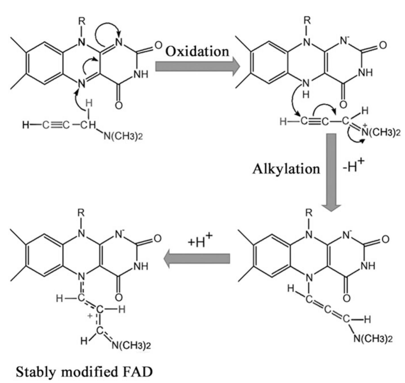 Figure 53 - from Toxins and drug discovery