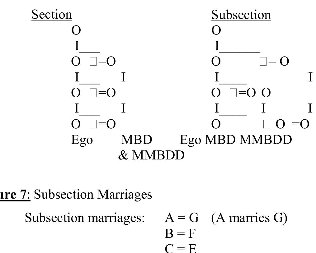 (PDF) Australian kinship