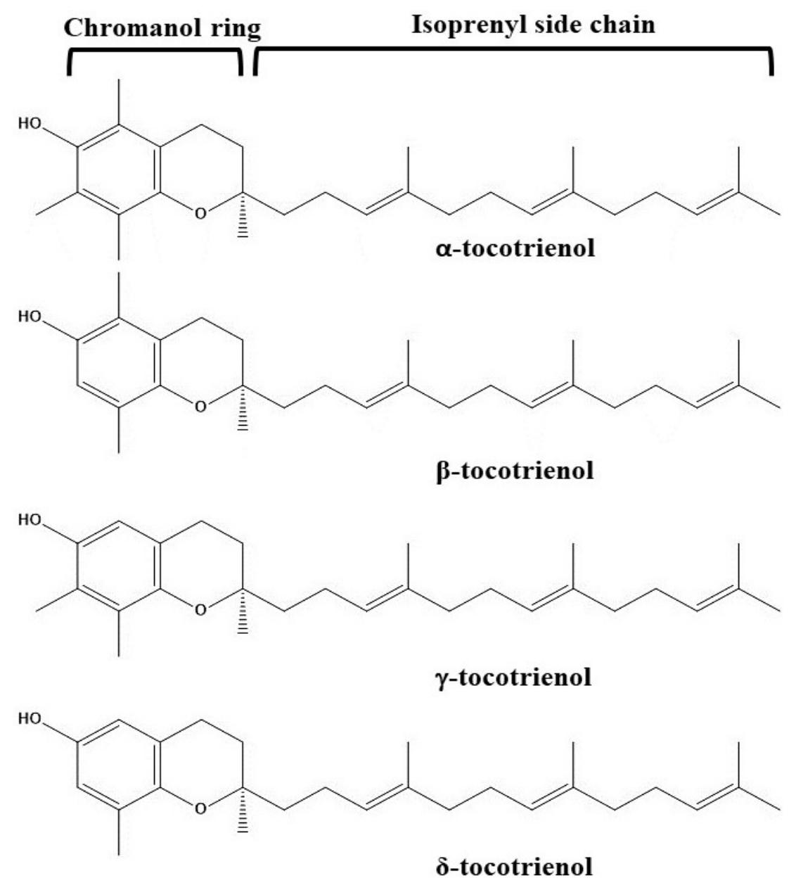 (PDF) Tocotrienol in the Treatment of Topical Wounds: Recent Updates