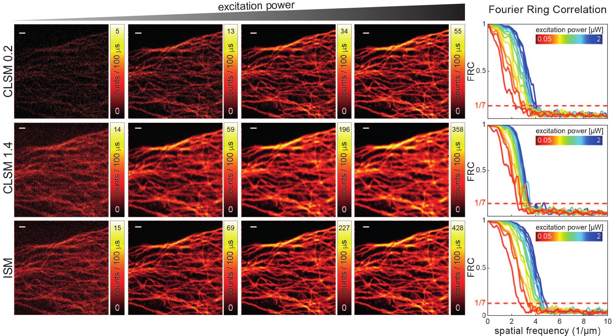 (PDF) A robust and versatile platform for image scanning microscopy ...