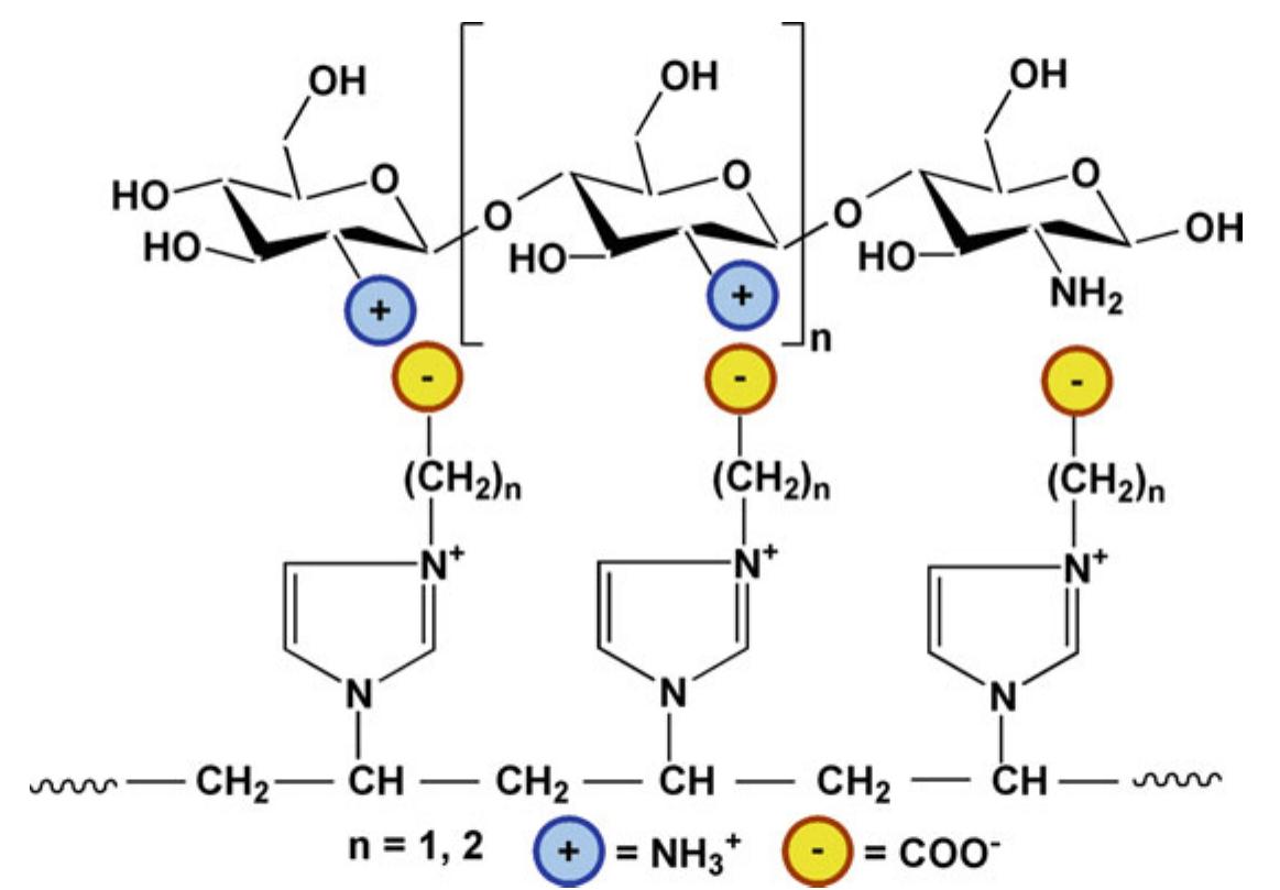 (PDF) Chitosan-Based Polyelectrolyte Complex Hydrogels for Biomedical ...