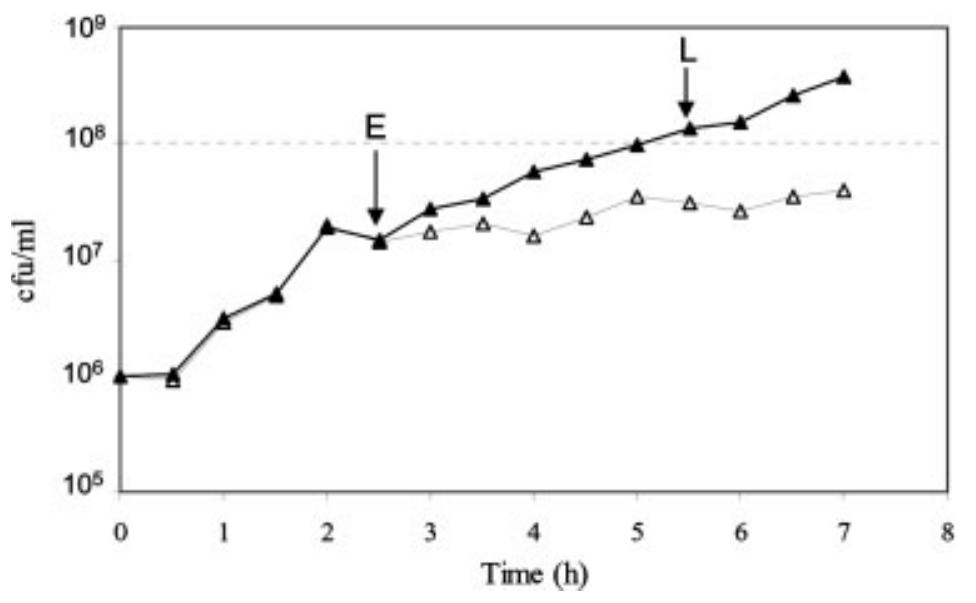 (PDF) Physiology of Streptococcus thermophilus during the late stage of ...