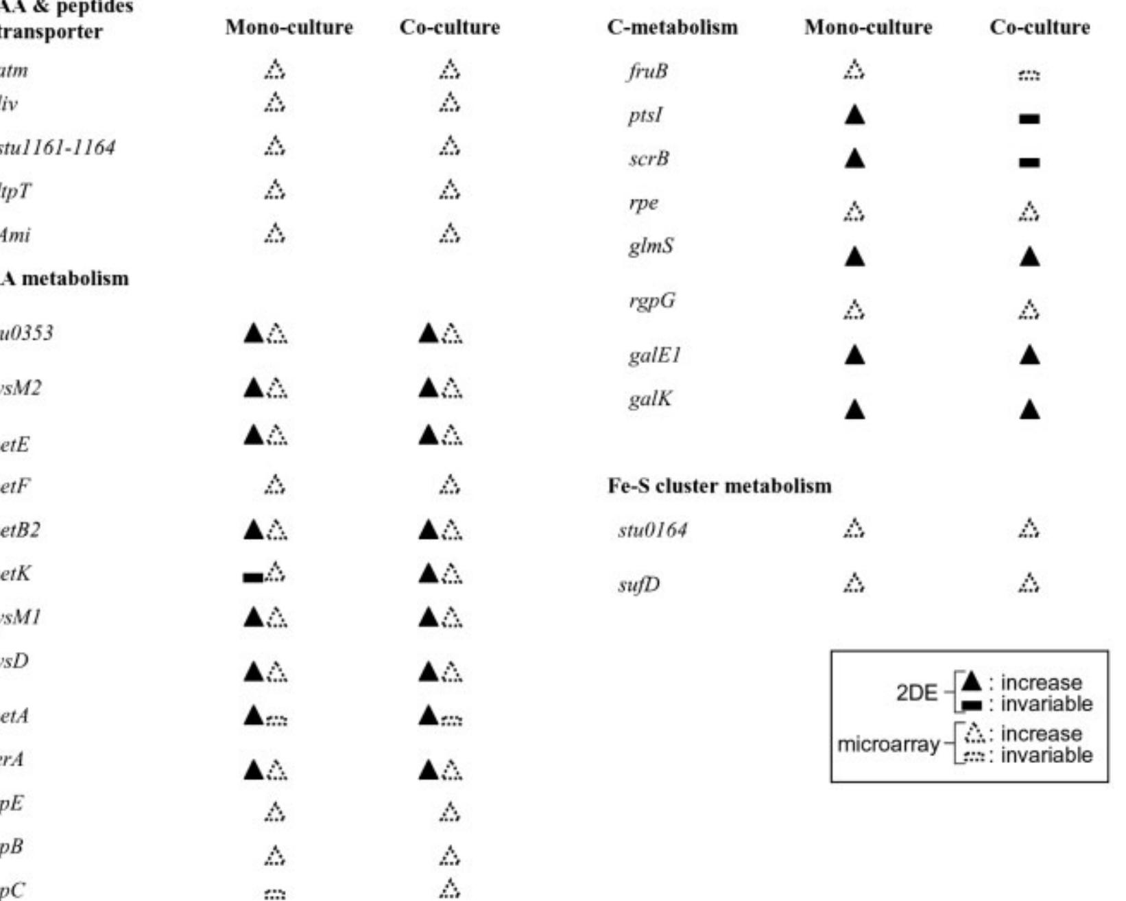 (PDF) Physiology of Streptococcus thermophilus during the late stage of ...