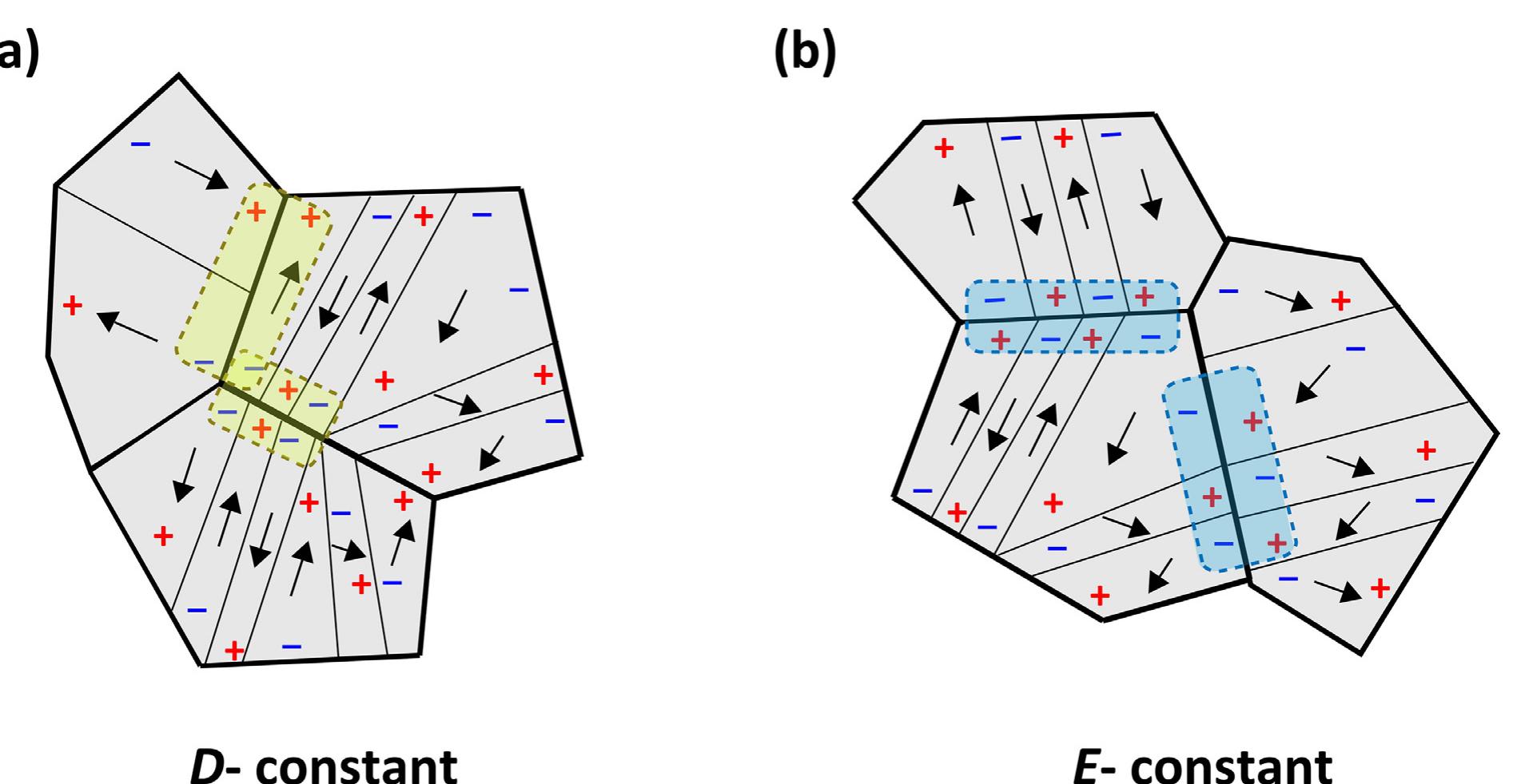 Figure 7 - from Depolarization field effect on elasticity of