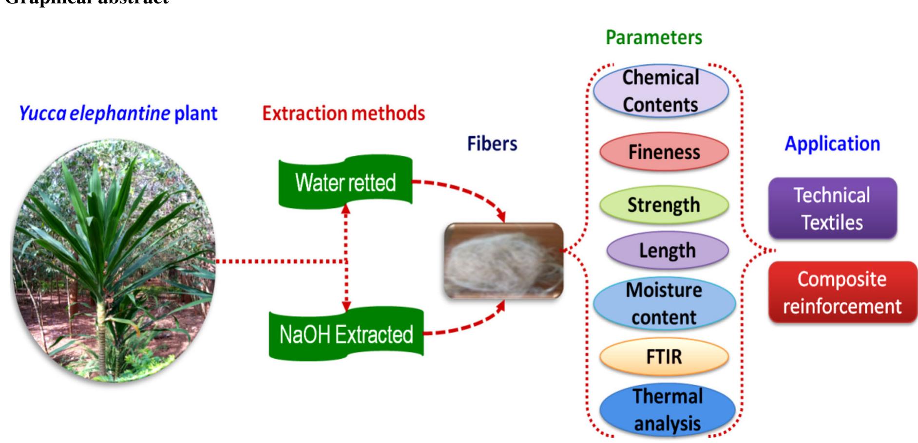 (PDF) Extraction and Characterization of Fibers from Corn Husk