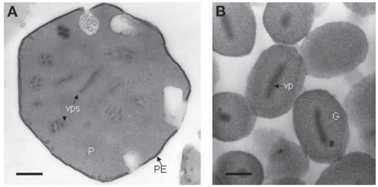 ics factory　B・DRIVE CS -ver.s- PDF) Baculovirus and Insect Cell Expression