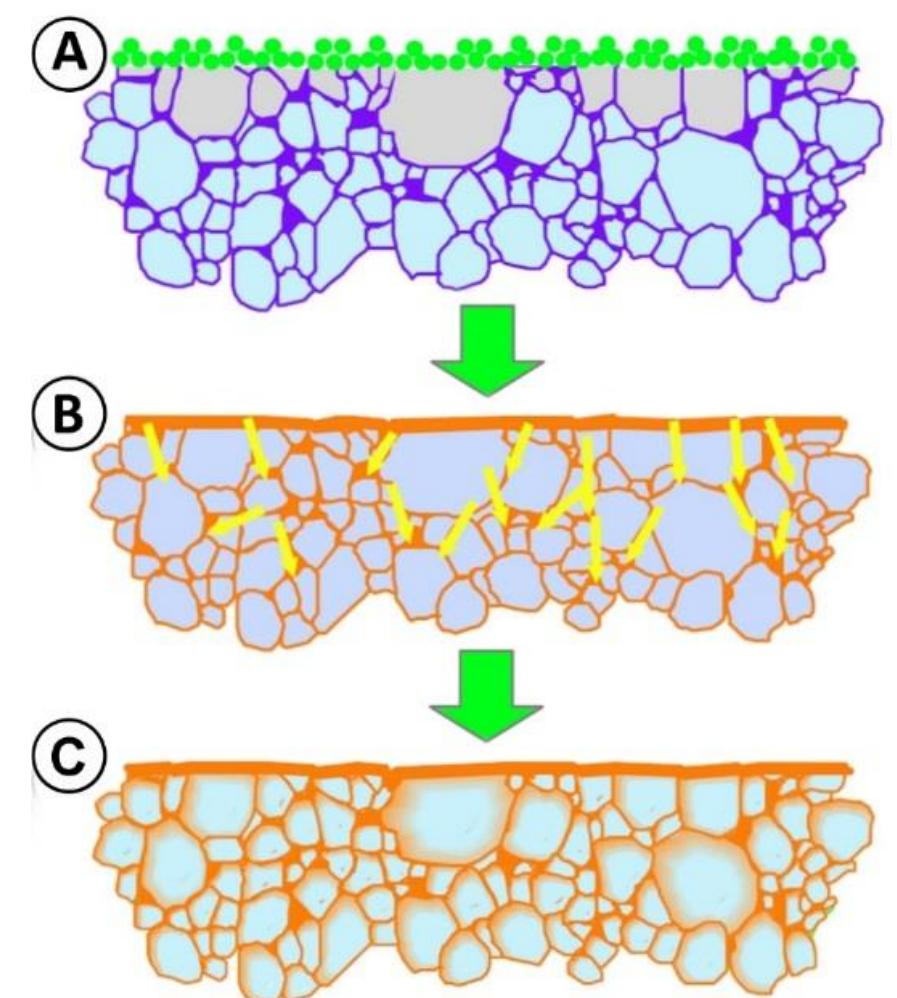 (PDF) Grain Boundary Diffusion A technique to reduce heavy rare earth ...