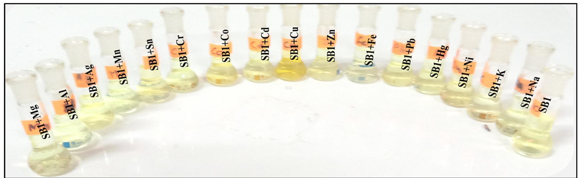 Fig. 4 Color changes of chemosensor SB1(5 pg ml~') in the MeOH-Water system (8/2 v/v) after addition of 1.0 equivalentof different cations. 