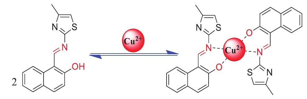 Scheme 2 Schematic representation of the possible coordination behavior of chemosensor SB1 with Cu’ * ion. 