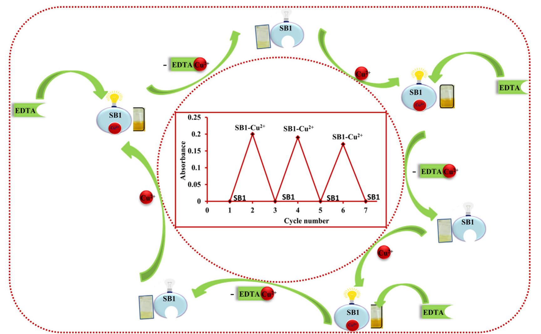 Fig. 14b Proposed reversible mechanism between chemosensor SBI and Cu** ion in MeOH-Water system (8/2 v/v) by EDTA.  Fig. 14a UV-Vis Spectra SB1-Cu complex by adding EDTA. 