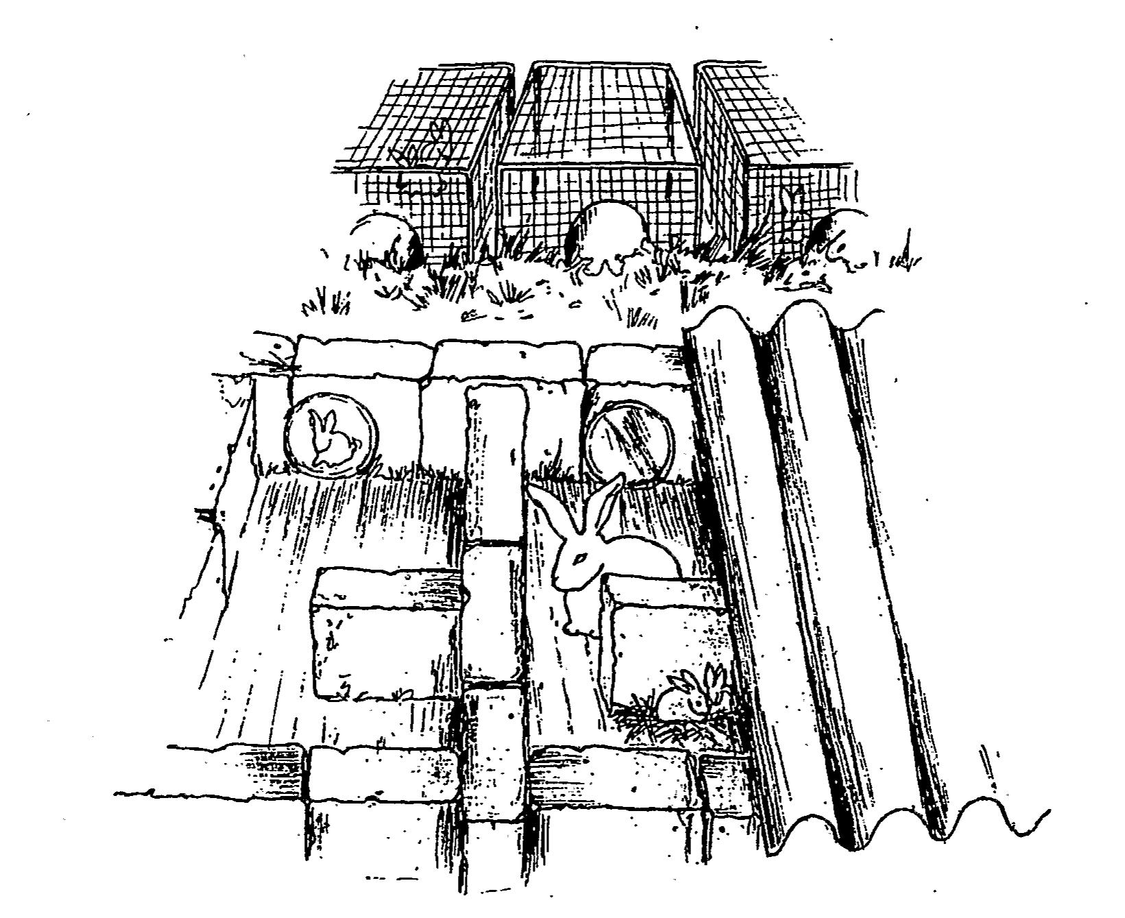 (PDF) Evolution of an unconventional rabbit breeding system for hot ...