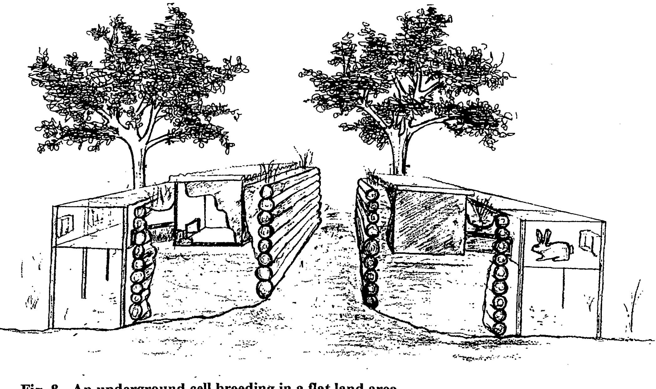 (PDF) Evolution of an unconventional rabbit breeding system for hot ...