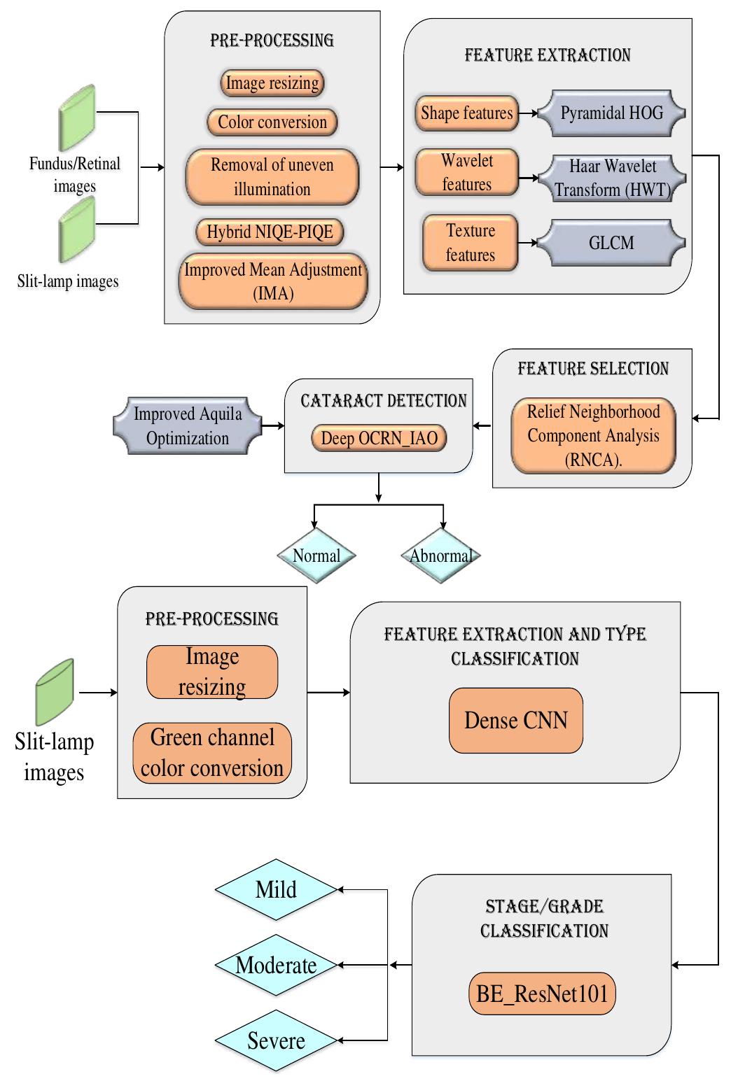 (PDF) Eye-Vision Net: Cataract Detection and Classification in Retinal ...