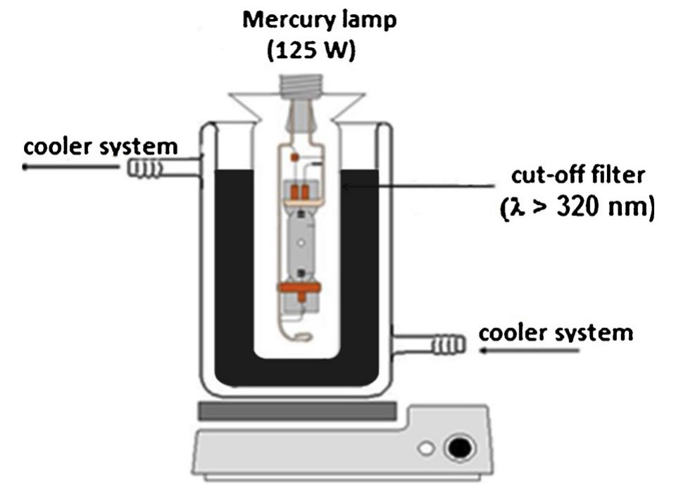 Fig. 1. Schematic representation of the photocatalytic apparatus.
