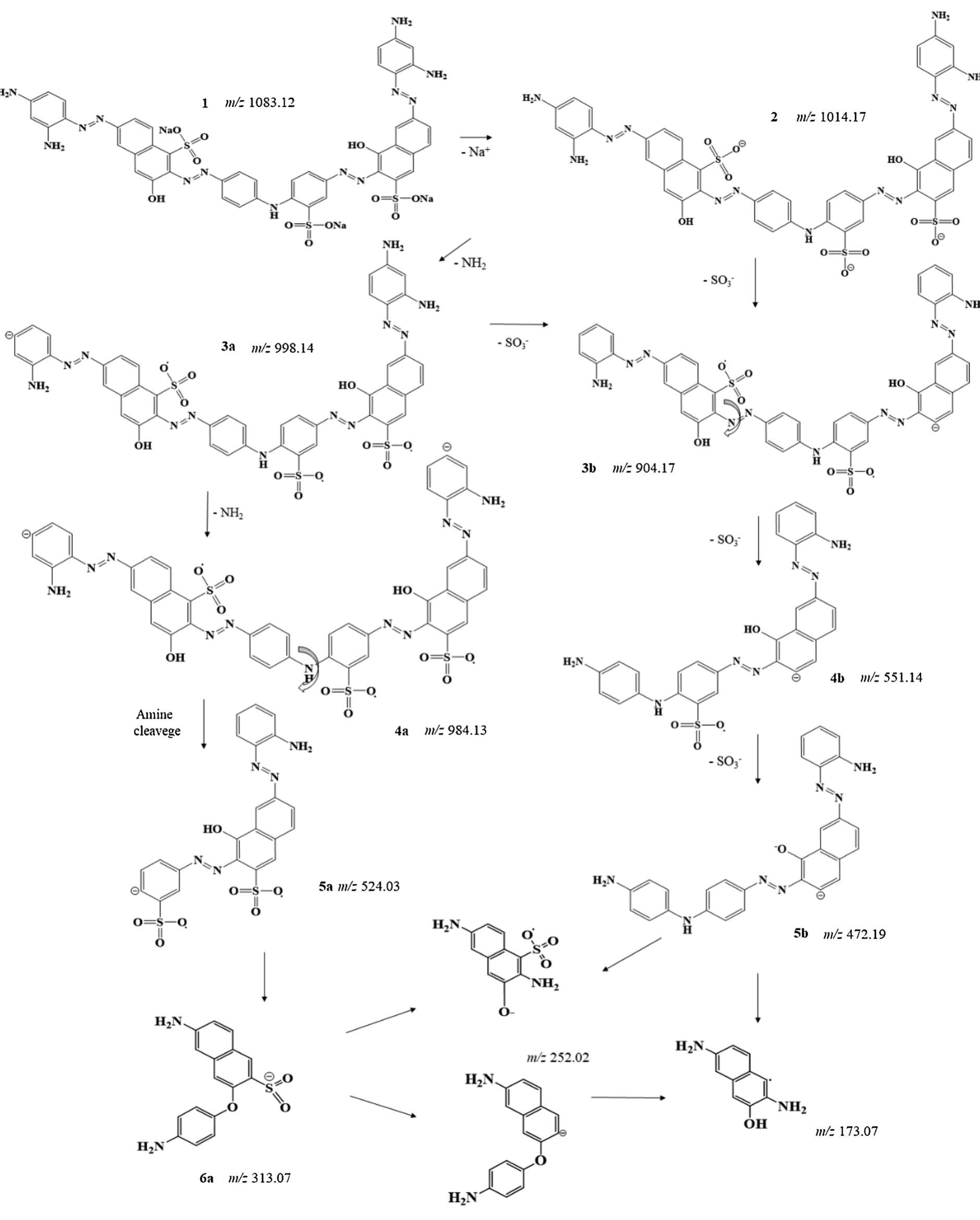 Fig. 11. Possible route for the degradation of real textile wastewater by sequential treatment using ZnO/PPy composite. Route a: Biological and b: photocatalysis degradation pathways.