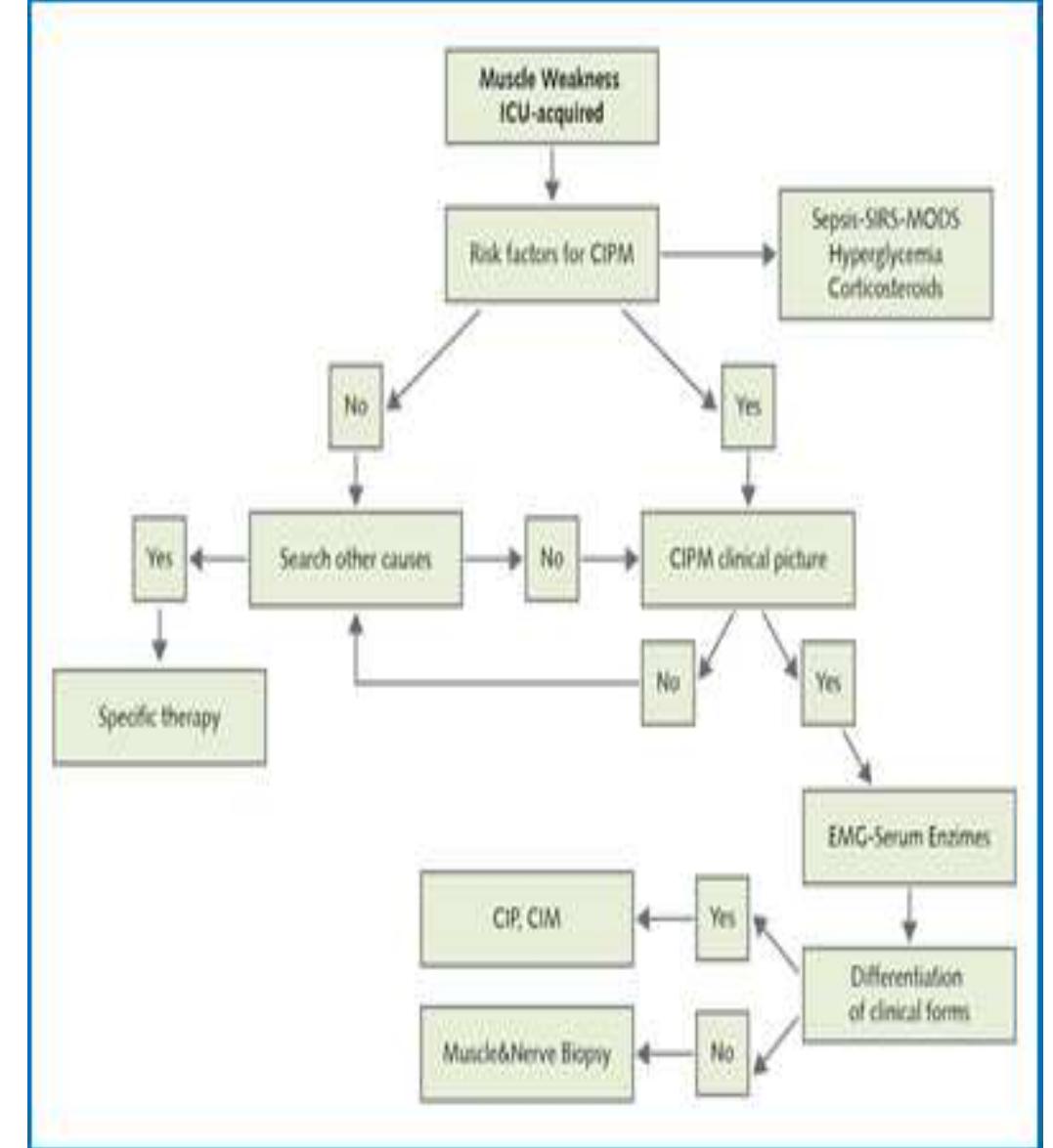 (PDF) Acquired neuromuscular weakness In Intensive Care Unit: Review ...